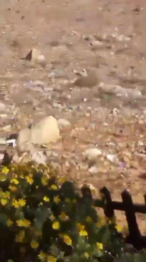 Airstrikes targeted the vicinity of Jarmaq and Al-Mahmoudiya