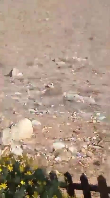 Airstrikes targeted the vicinity of Jarmaq and Al-Mahmoudiya