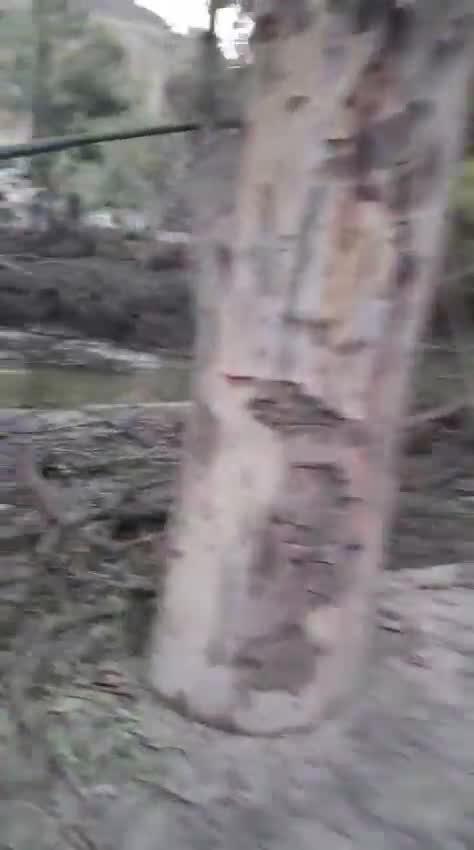 This is what the scene looks like in Tayr Falsay after the Israeli raids that targeted the town at night.