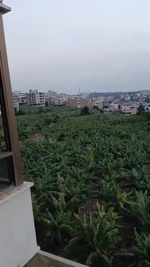 A drone strike targeting the village of Qanarit in southern Lebanon, moments ago.