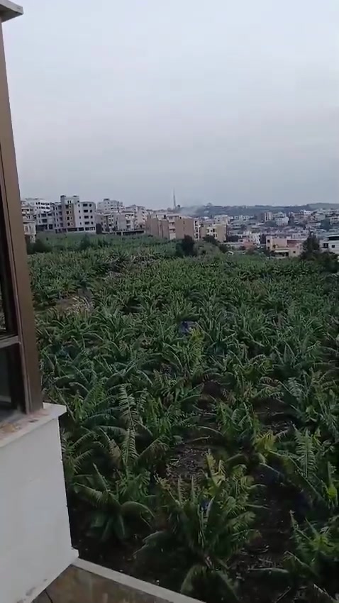 A drone strike targeting the village of Qanarit in southern Lebanon, moments ago.