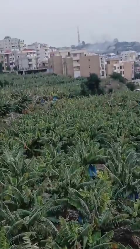 A drone strike targeting the village of Qanarit in southern Lebanon, moments ago.
