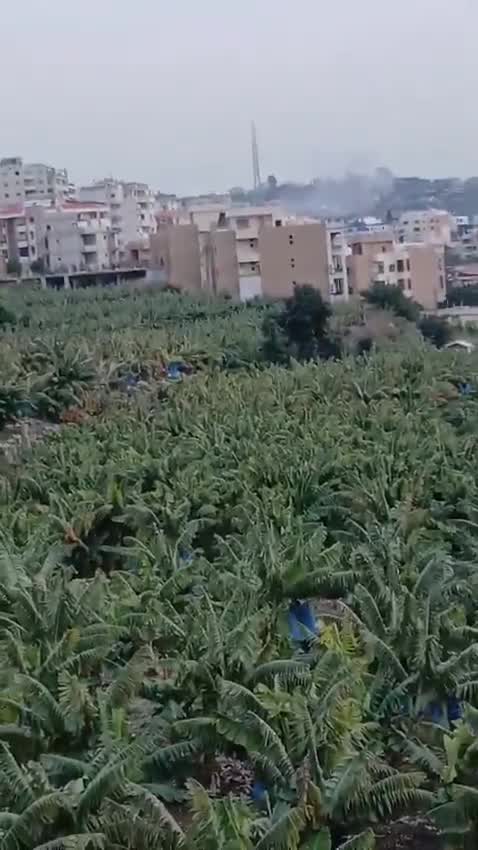 A drone strike targeting the village of Qanarit in southern Lebanon, moments ago.
