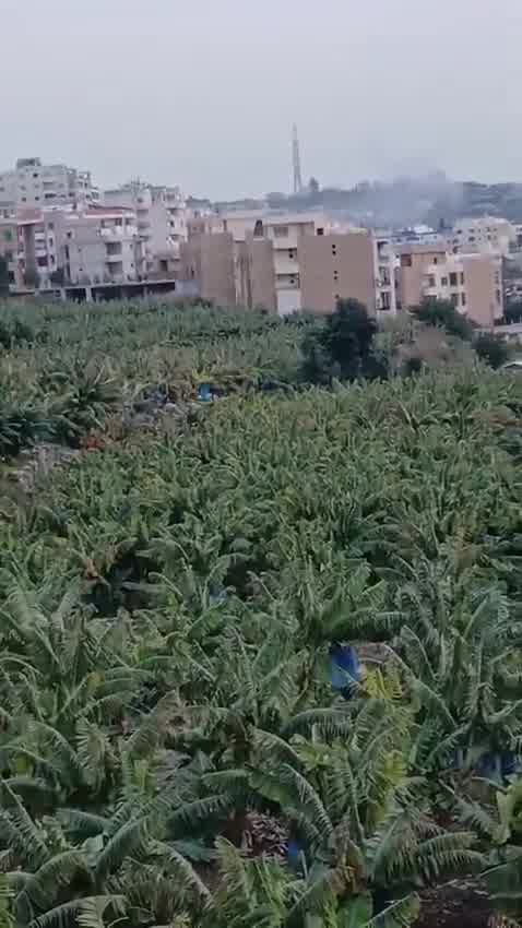 A drone strike targeting the village of Qanarit in southern Lebanon, moments ago.