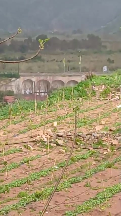 A video circulating online shows another angle of the violent Israeli airstrike that targeted the Qasmiyeh Bridge in southern Lebanon.