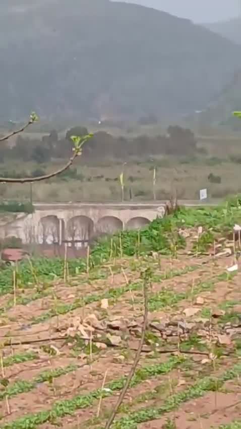A video circulating online shows another angle of the violent Israeli airstrike that targeted the Qasmiyeh Bridge in southern Lebanon.