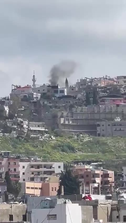 Airstrike targets a house in Miyeh Miyeh - Sidon