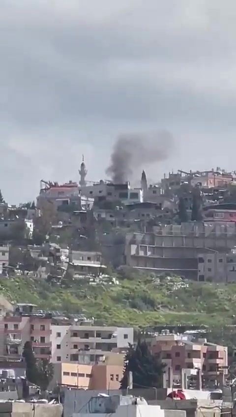 Airstrike targets a house in Miyeh Miyeh - Sidon