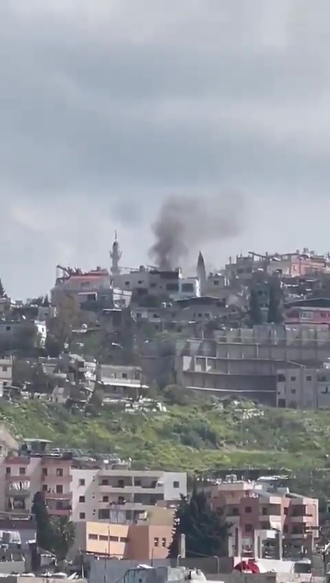 Airstrike targets a house in Miyeh Miyeh - Sidon