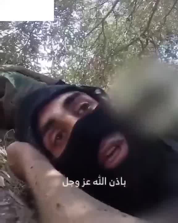 The Israeli army releases a video of the airstrike that targeted Beirut's southern suburbs