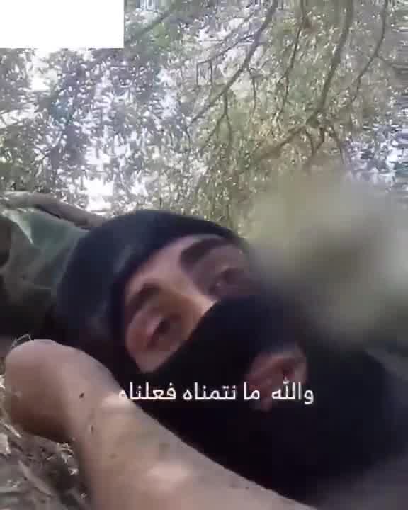 The Israeli army releases a video of the airstrike that targeted Beirut's southern suburbs