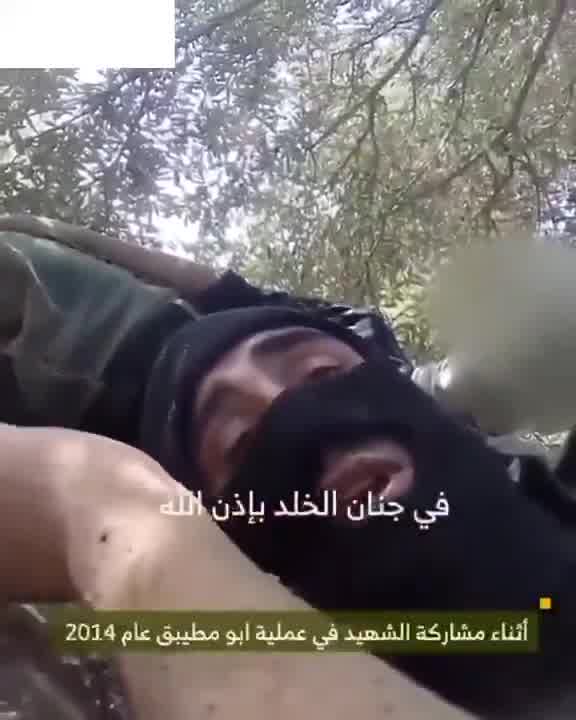 The Israeli army releases a video of the airstrike that targeted Beirut's southern suburbs