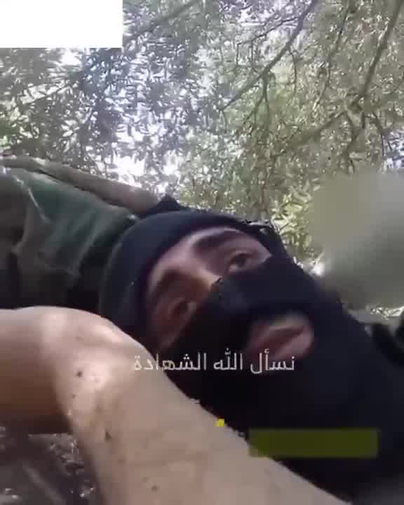 The Israeli army releases a video of the airstrike that targeted Beirut's southern suburbs