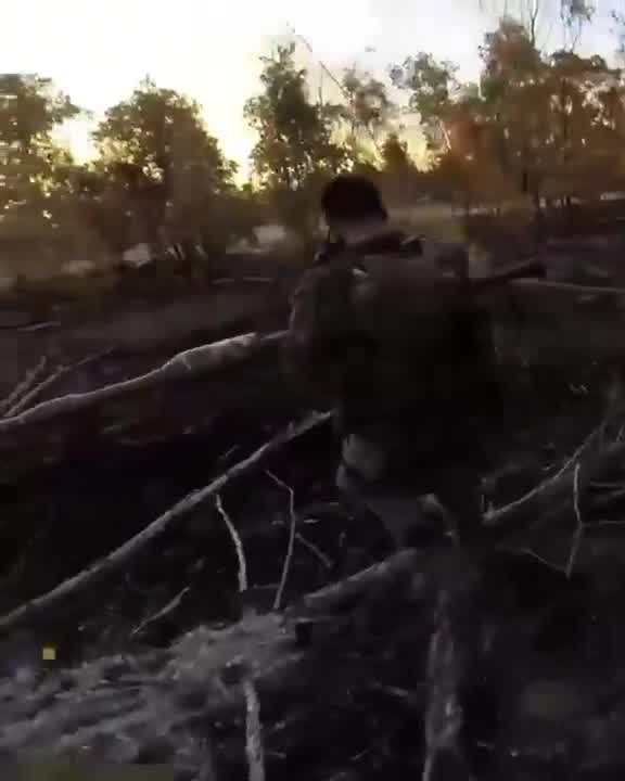 The Israeli army releases a video of the airstrike that targeted Beirut's southern suburbs
