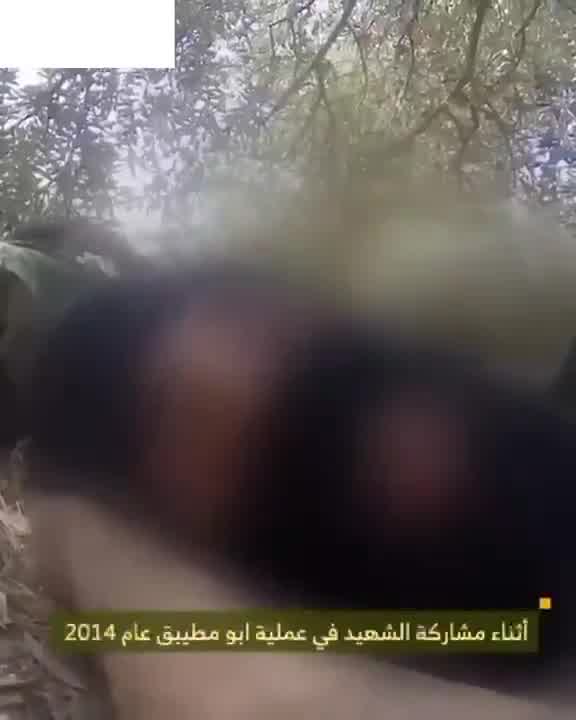 The Israeli army releases a video of the airstrike that targeted Beirut's southern suburbs