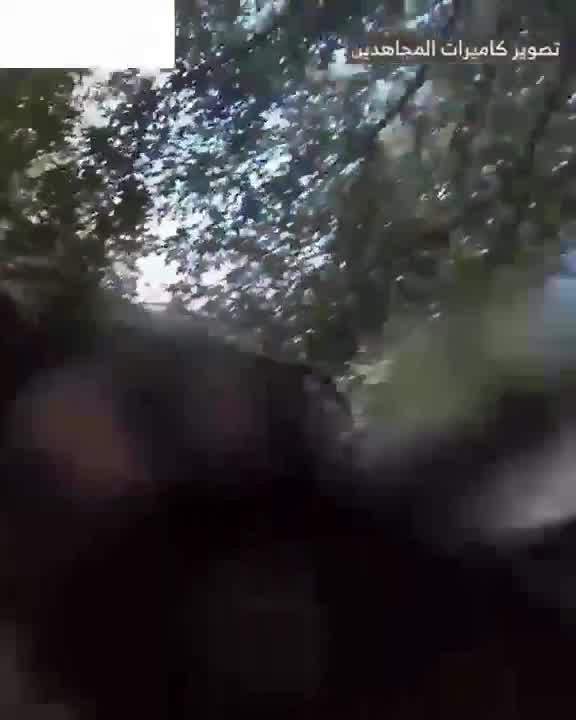 The Israeli army releases a video of the airstrike that targeted Beirut's southern suburbs