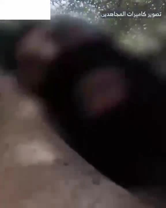 The Israeli army releases a video of the airstrike that targeted Beirut's southern suburbs
