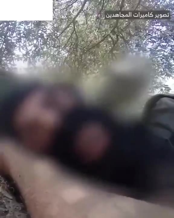 The Israeli army releases a video of the airstrike that targeted Beirut's southern suburbs