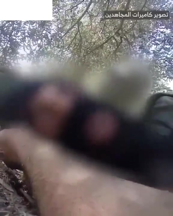 The Israeli army releases a video of the airstrike that targeted Beirut's southern suburbs