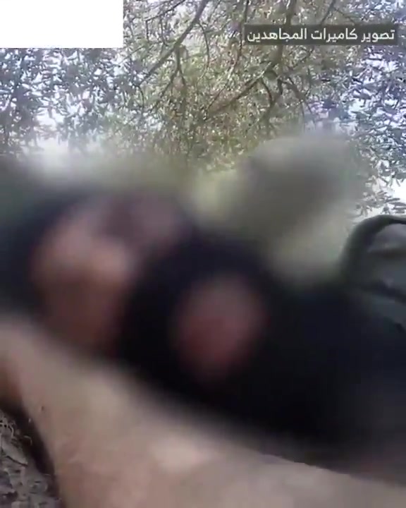 The Israeli army releases a video of the airstrike that targeted Beirut's southern suburbs
