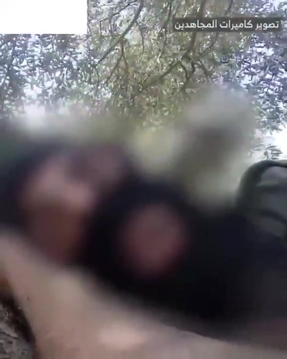 The Israeli army releases a video of the airstrike that targeted Beirut's southern suburbs