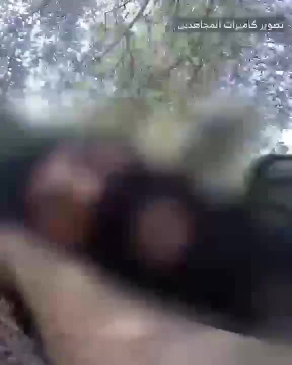 The Israeli army releases a video of the airstrike that targeted Beirut's southern suburbs