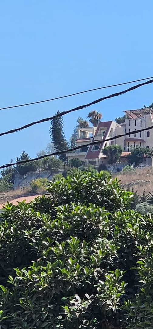 raid de drones à Nabatieh